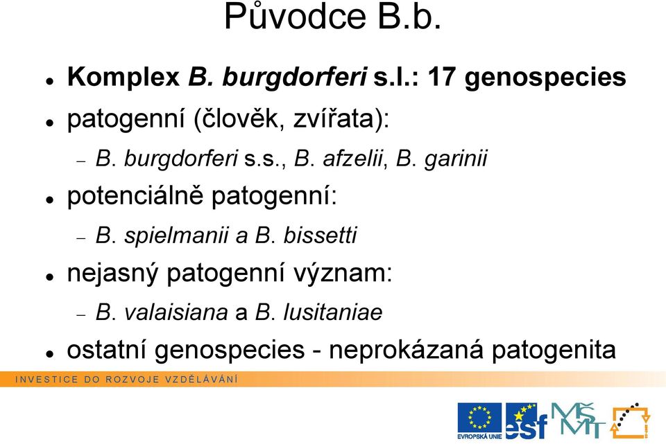 spielmanii a B. bissetti nejasný patogenní význam: B. valaisiana a B.