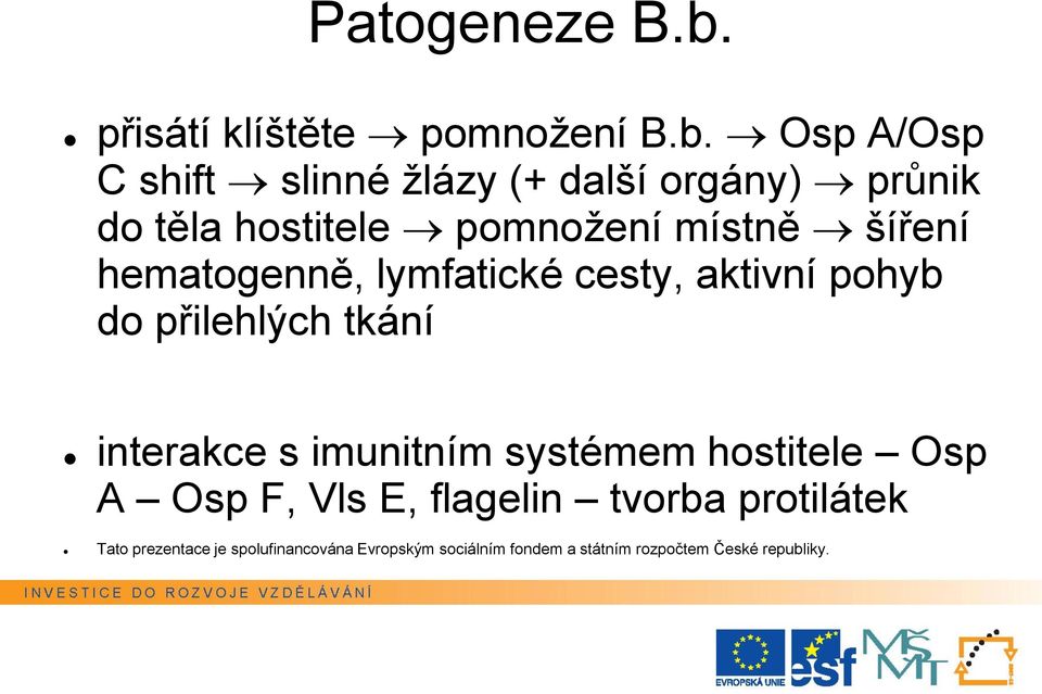 Osp A/Osp C shift slinné žlázy (+ další orgány) průnik do těla hostitele pomnožení místně šíření