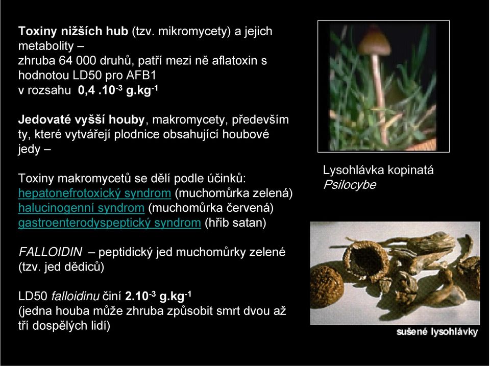 hepatonefrotoxický syndrom (muchomůrka zelená) halucinogenní syndrom (muchomůrka červená) gastroenterodyspeptický syndrom (hřib satan) Lysohlávka kopinatá