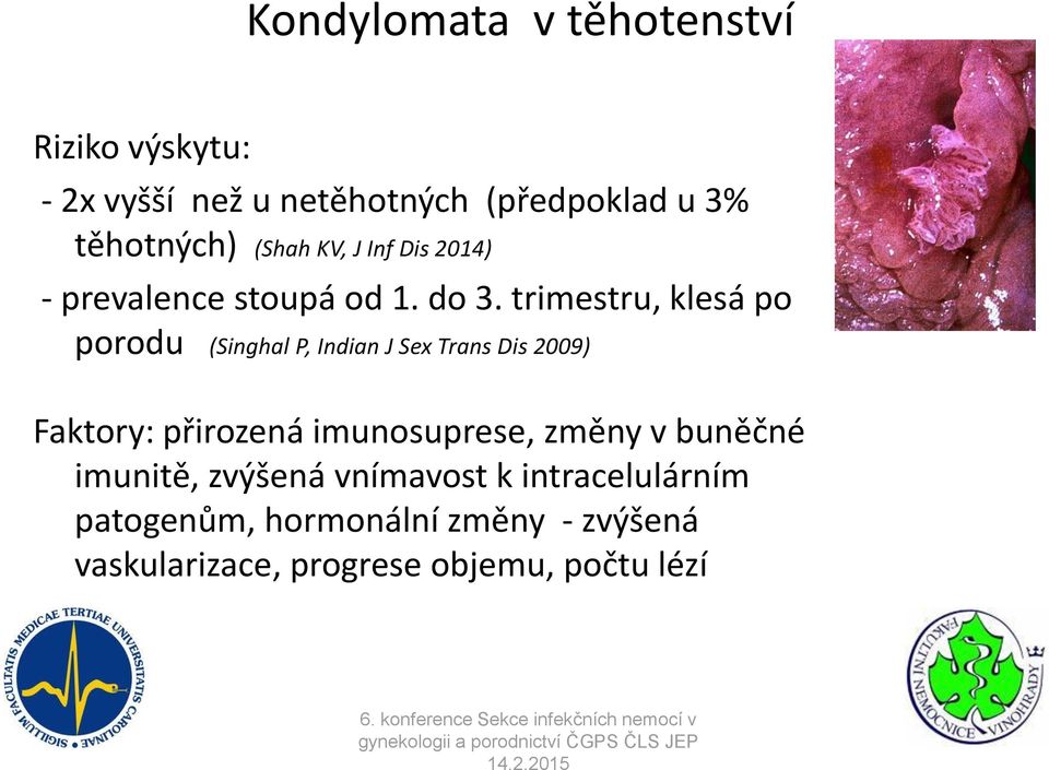 trimestru, klesá po porodu (Singhal P, Indian J Sex Trans Dis 2009) Faktory: přirozená