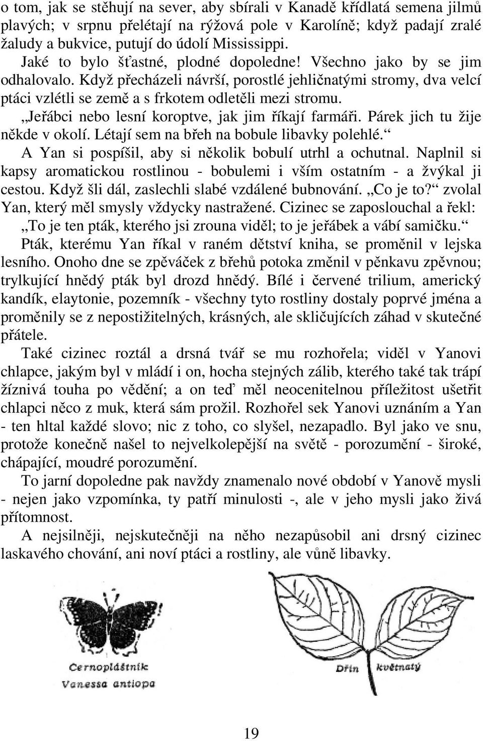 Jeřábci nebo lesní koroptve, jak jim říkají farmáři. Párek jich tu žije někde v okolí. Létají sem na břeh na bobule libavky polehlé. A Yan si pospíšil, aby si několik bobulí utrhl a ochutnal.