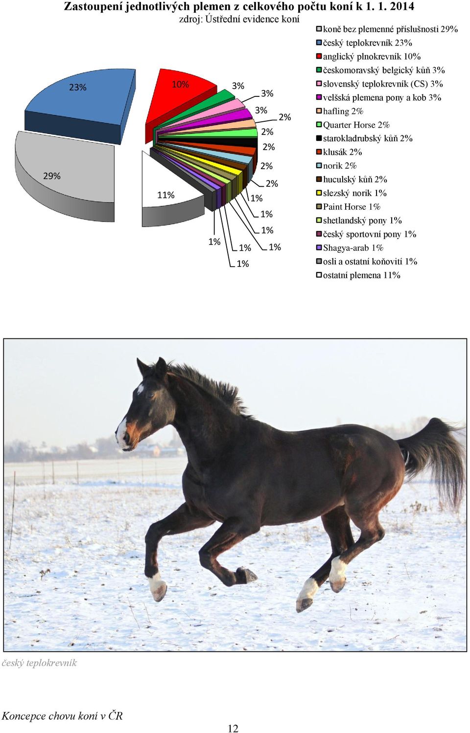 teplokrevník 23% anglický plnokrevník 10% českomoravský belgický kůň 3% slovenský teplokrevník (CS) 3% velšská plemena pony a kob 3% hafling 2%