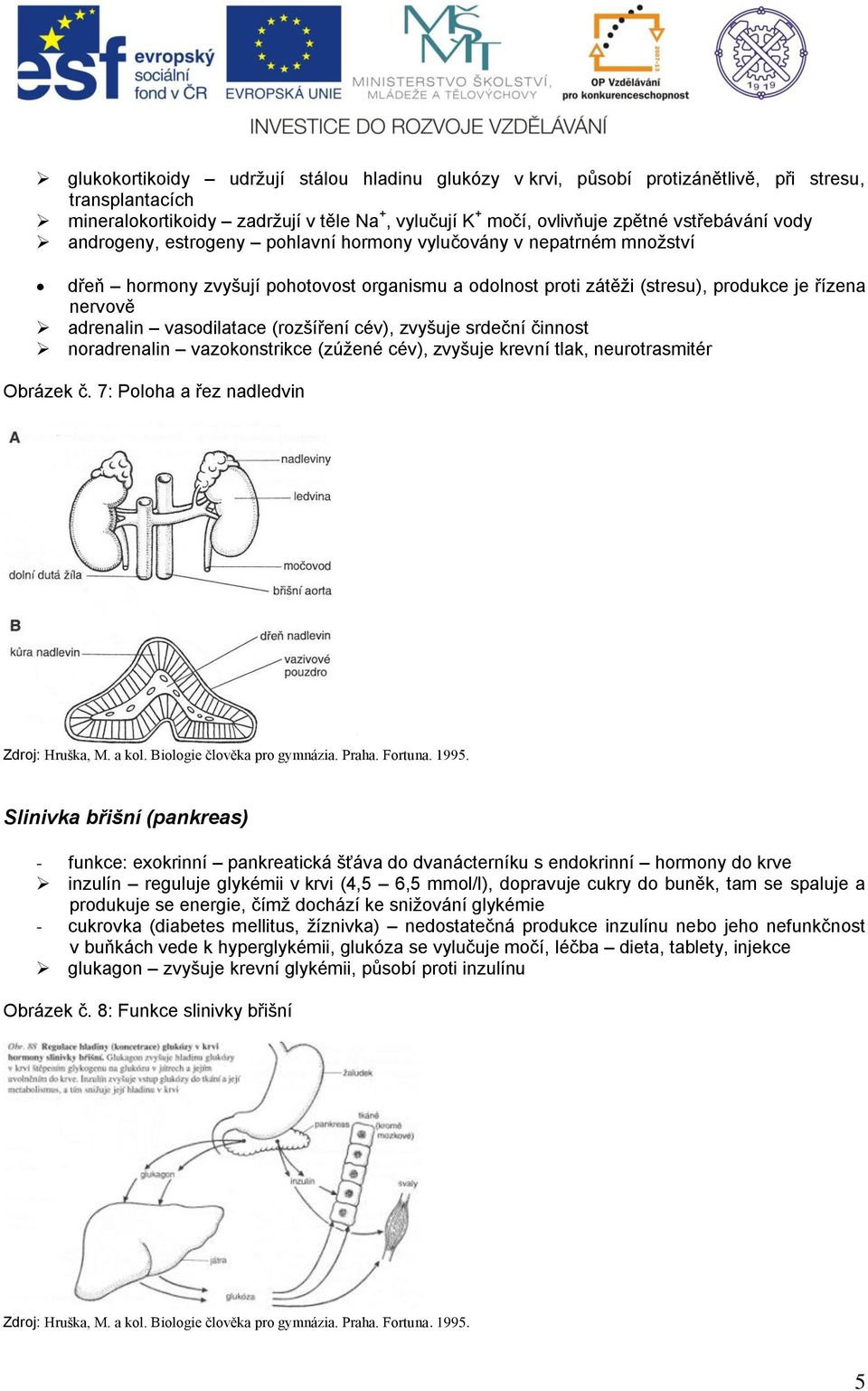 (rozšíření cév), zvyšuje srdeční činnost noradrenalin vazokonstrikce (zúţené cév), zvyšuje krevní tlak, neurotrasmitér Obrázek č.