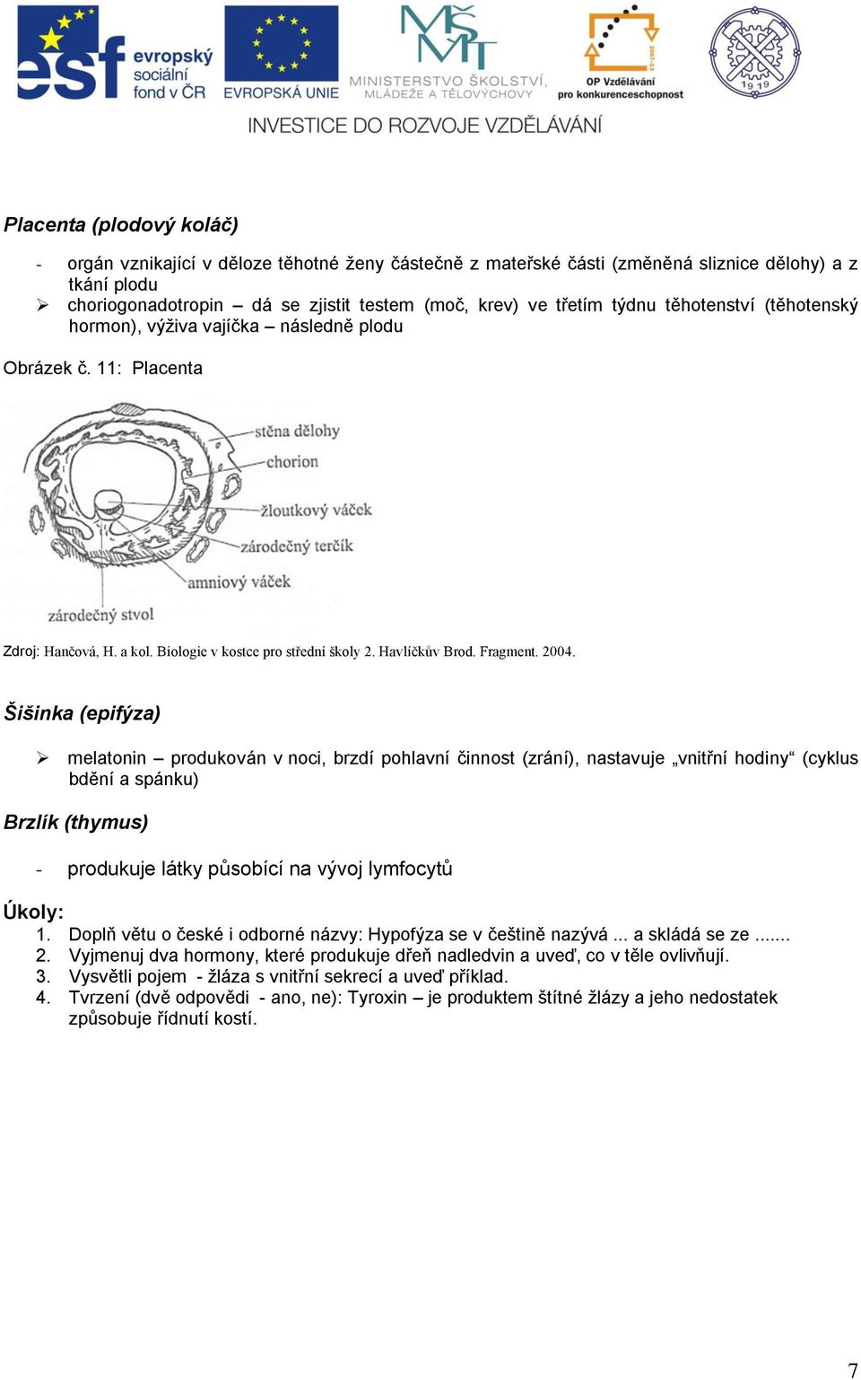 Šišinka (epifýza) melatonin produkován v noci, brzdí pohlavní činnost (zrání), nastavuje vnitřní hodiny (cyklus bdění a spánku) Brzlík (thymus) - produkuje látky působící na vývoj lymfocytů Úkoly: 1.