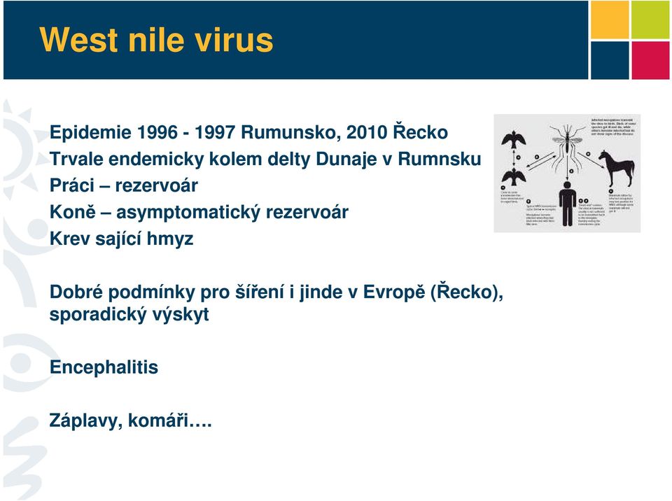 asymptomatický rezervoár Krev sající hmyz Dobré podmínky pro