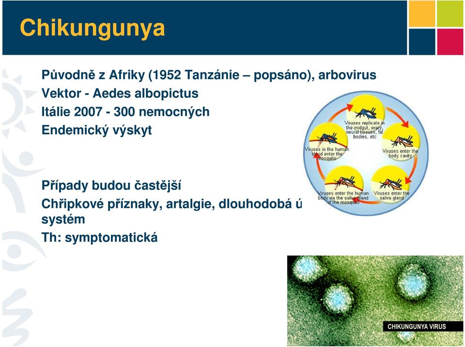 nemocných Endemický výskyt Případy budou častější Chřipkové