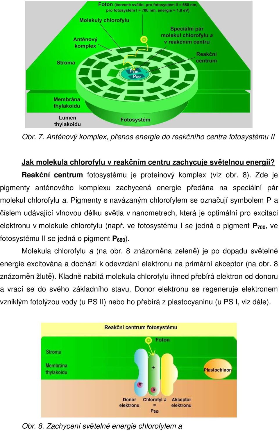 Pigmenty s navázaným chlorofylem se označují symbolem P a číslem udávající vlnovou délku světla v nanometrech, která je optimální pro excitaci elektronu v molekule chlorofylu (např.