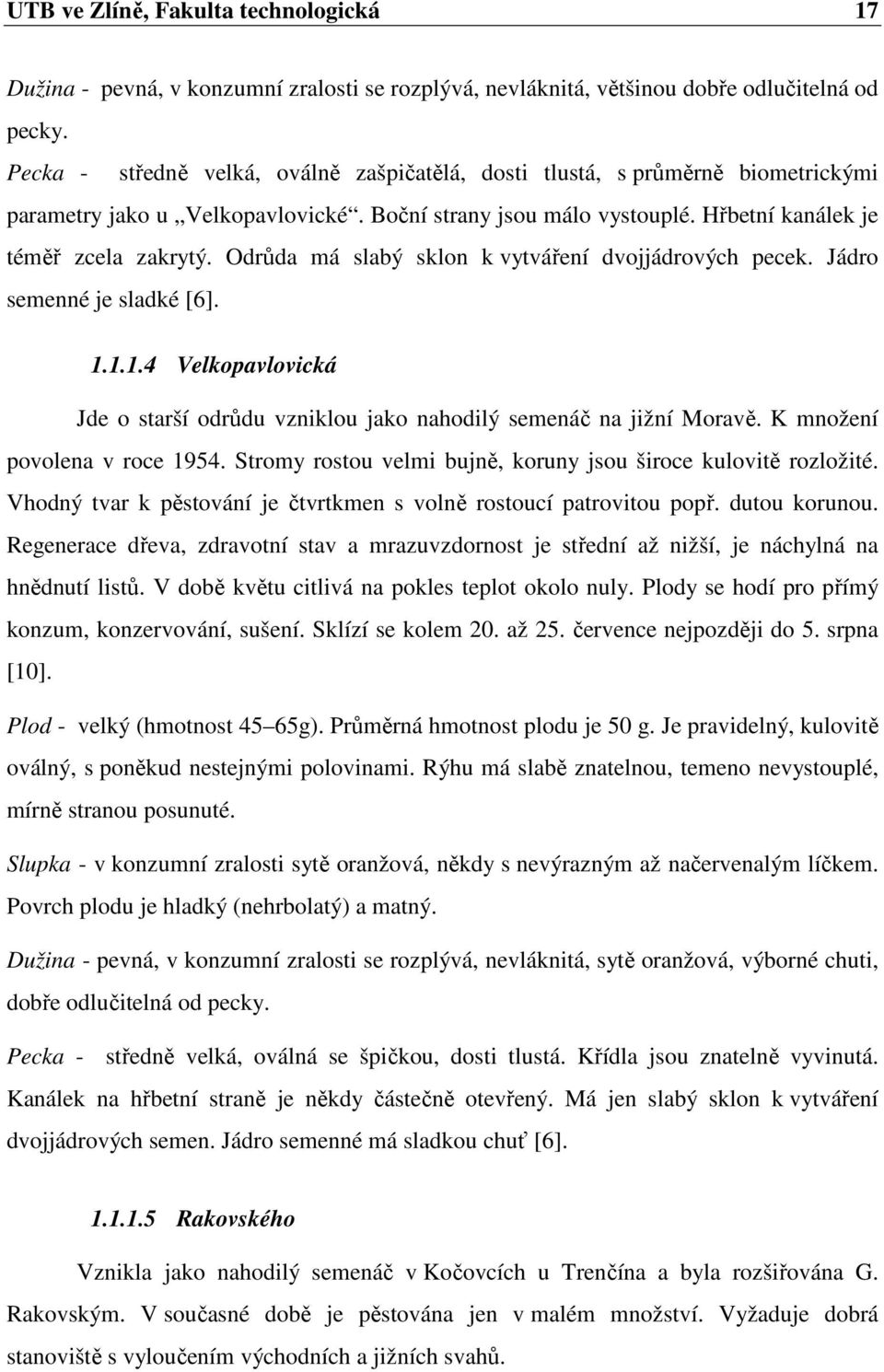 Odrůda má slabý sklon k vytváření dvojjádrových pecek. Jádro semenné je sladké [6]. 1.1.1.4 Velkopavlovická Jde o starší odrůdu vzniklou jako nahodilý semenáč na jižní Moravě.