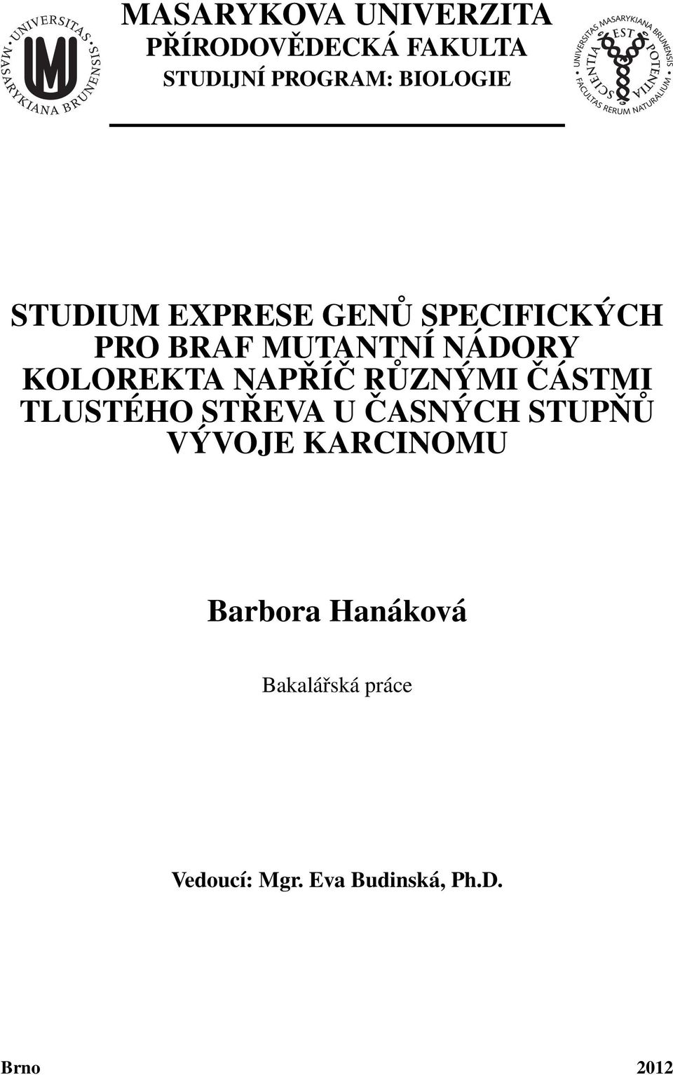 NAPŘÍČ RŮZNÝMI ČÁSTMI TLUSTÉHO STŘEVA U ČASNÝCH STUPŇŮ VÝVOJE KARCINOMU