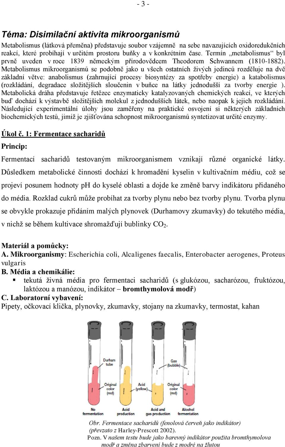 Metabolismus mikroorganismů se podobně jako u všech ostatních živých jedinců rozděluje na dvě základní větve: anabolismus (zahrnující procesy biosyntézy za spotřeby energie) a katabolismus