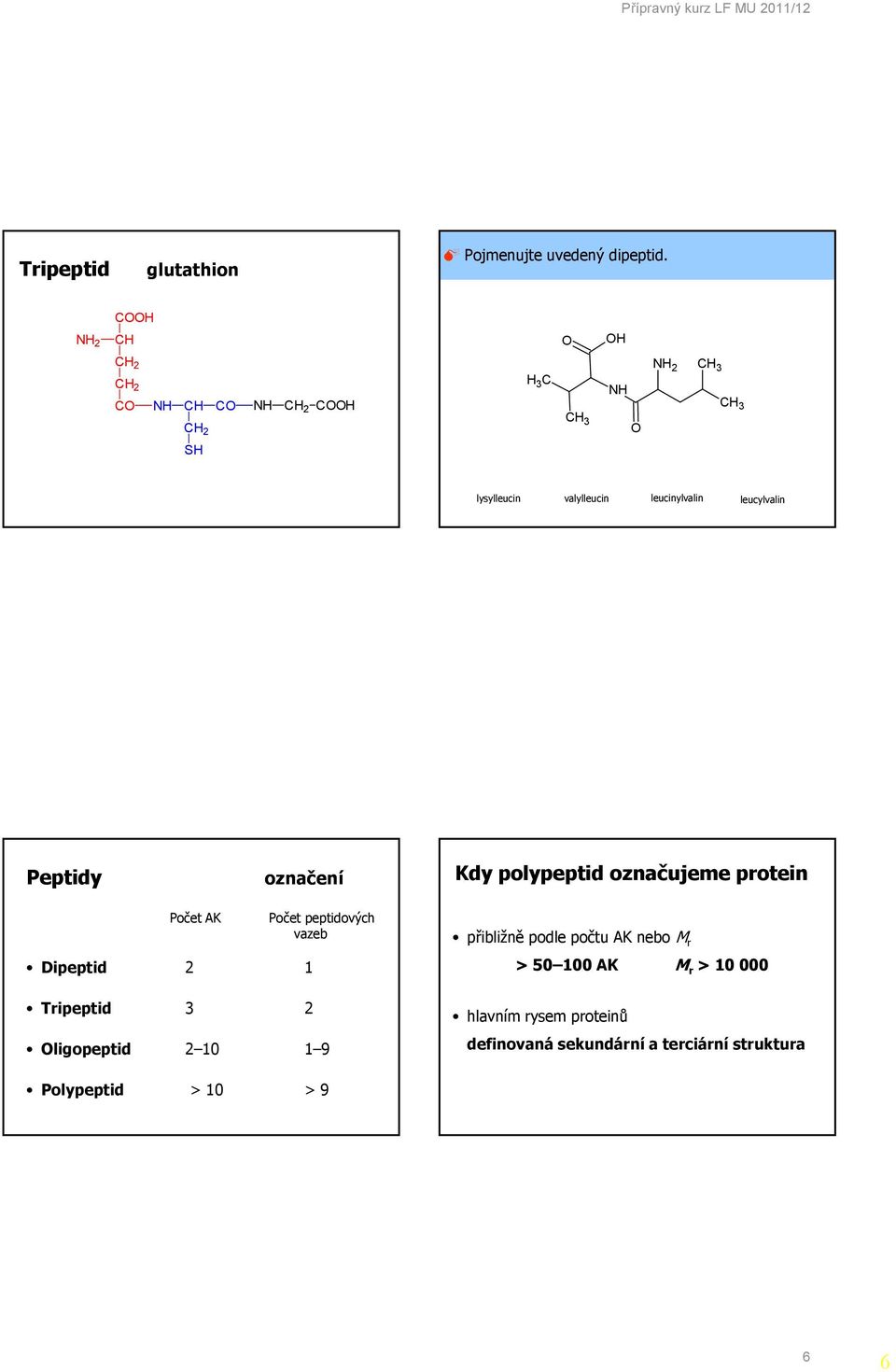 označujeme protein Počet AK Dipeptid 2 1 Počet peptidových vazeb přibližně podle počtu AK nebo M