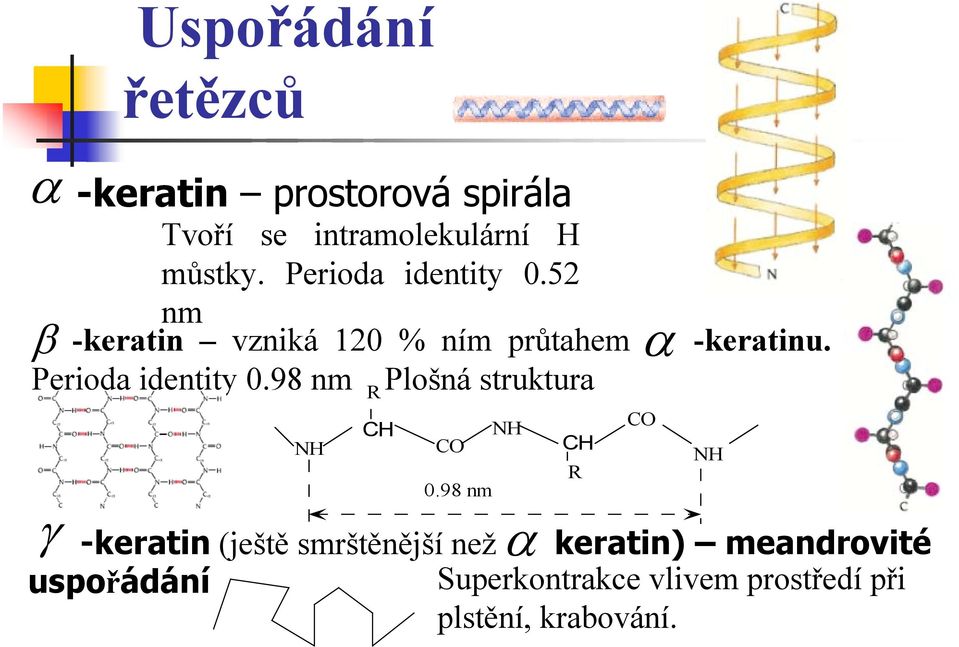 98 nm Plošná struktura γ NH R CH CO NH CH 0.98 nm R CO -keratinu.