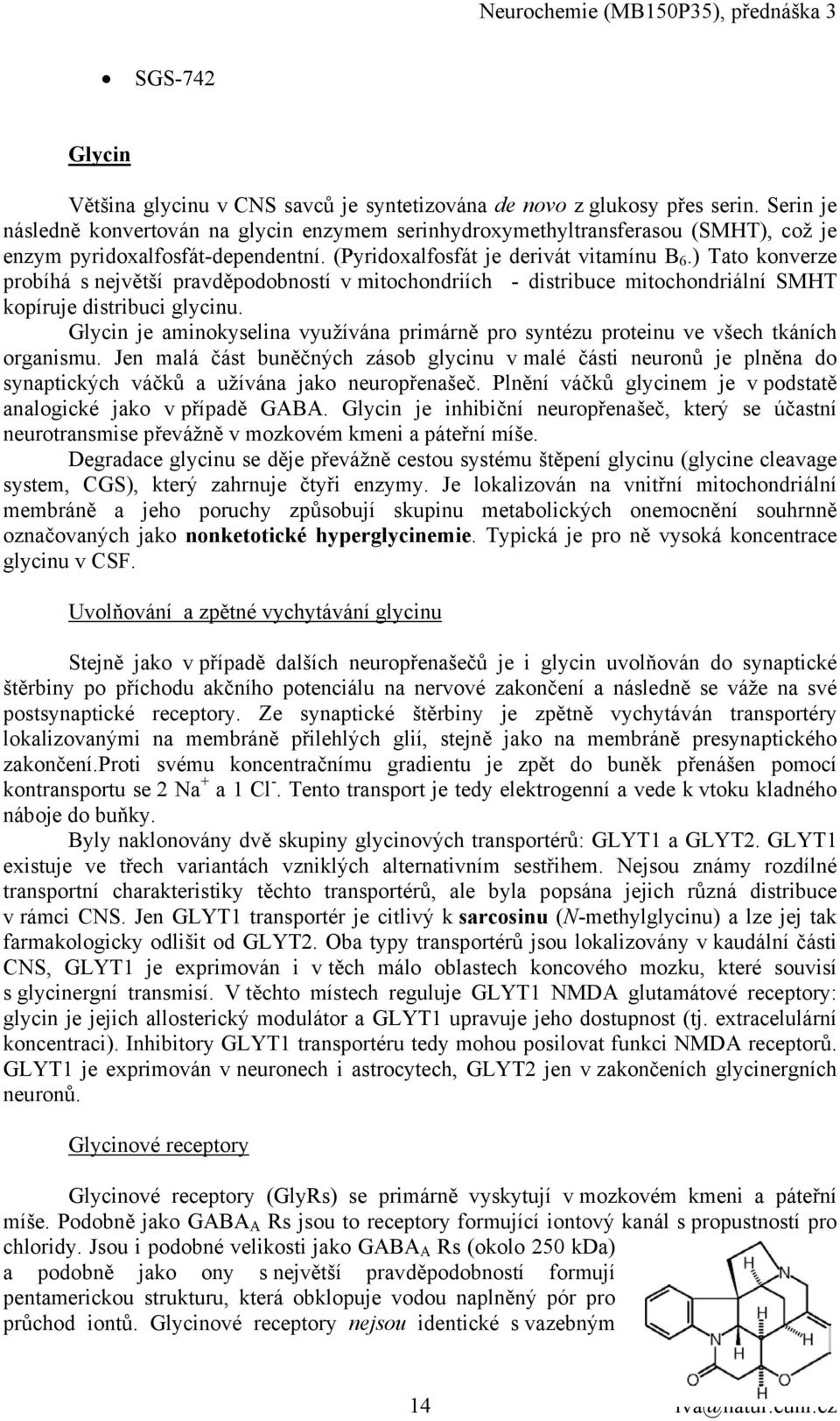 ) Tato konverze probíhá s největší pravděpodobností v mitochondriích - distribuce mitochondriální SMHT kopíruje distribuci glycinu.