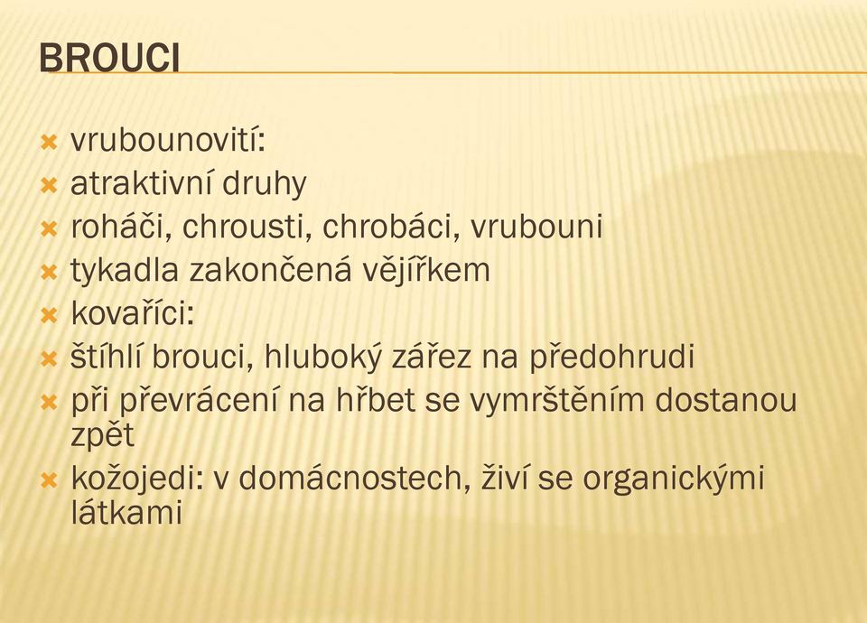 brouci, hluboký zářez na předohrudi při převrácení na hřbet se