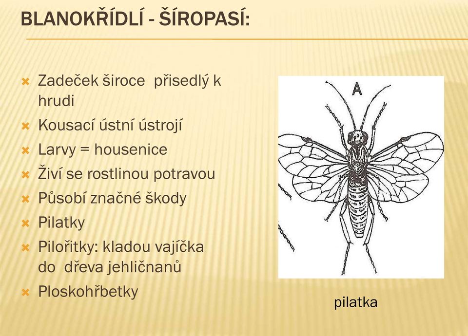 rostlinou potravou Působí značné škody Pilatky