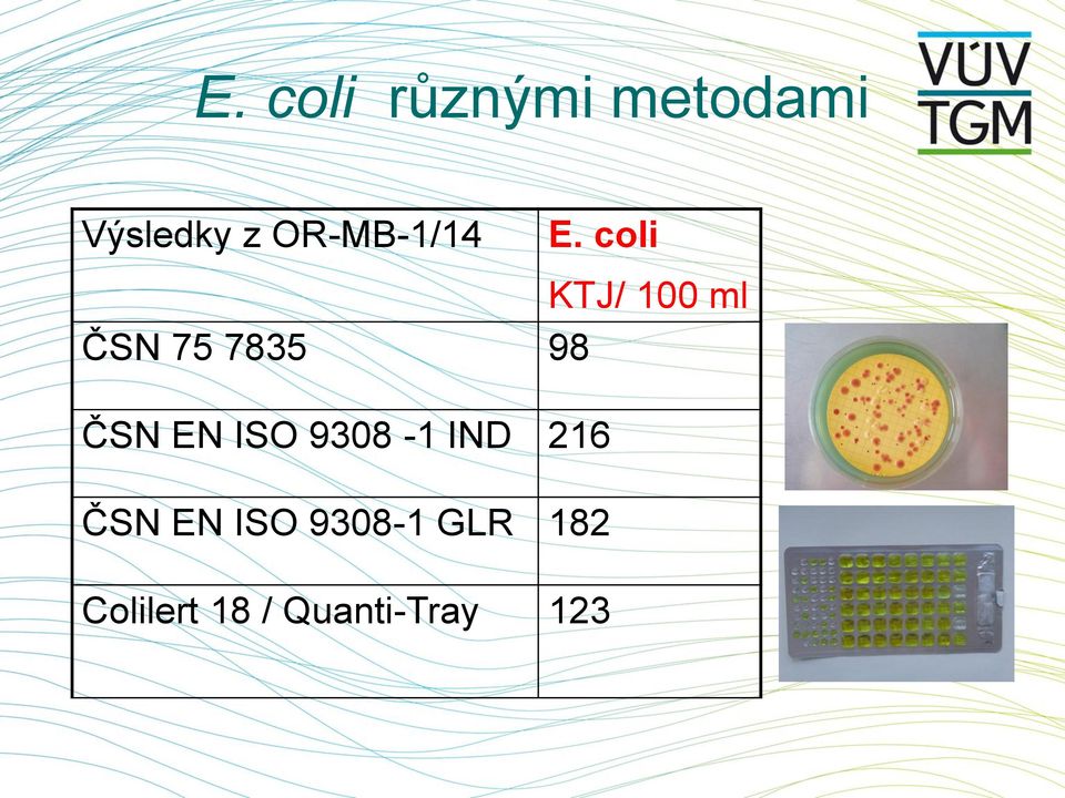 coli KTJ/ 100 ml ČSN 75 7835 98 ČSN EN