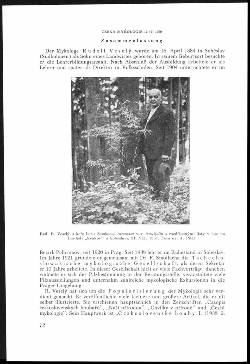 Seit 1904 unterrichtete er im k juw KĚĚm H k i * 4Evl ' fled. R. Veselý u keře bezu S am bu cus racem osa var. ten u ifolia s rozdřípeným i listy v lese na hradišti Sv ákov u Soběslavi, 21. V. 1957.