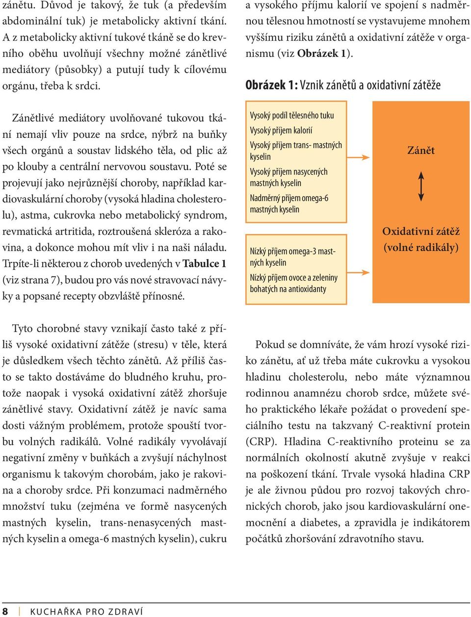 a vysokého příjmu kalorií ve spojení s nadměrnou tělesnou hmotností se vystavujeme mnohem vyššímu riziku zánětů a oxidativní zátěže v organismu (viz Obrázek 1).