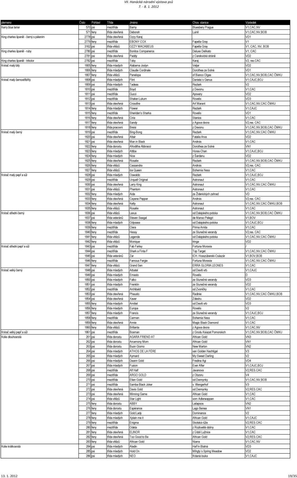 V1, CAC 2781 psi třída otevřená Paddy z Cerekvické stráně VD2 King charles španěl - trikolor 2782 psi mezitřída Toby Karaj V2, res.