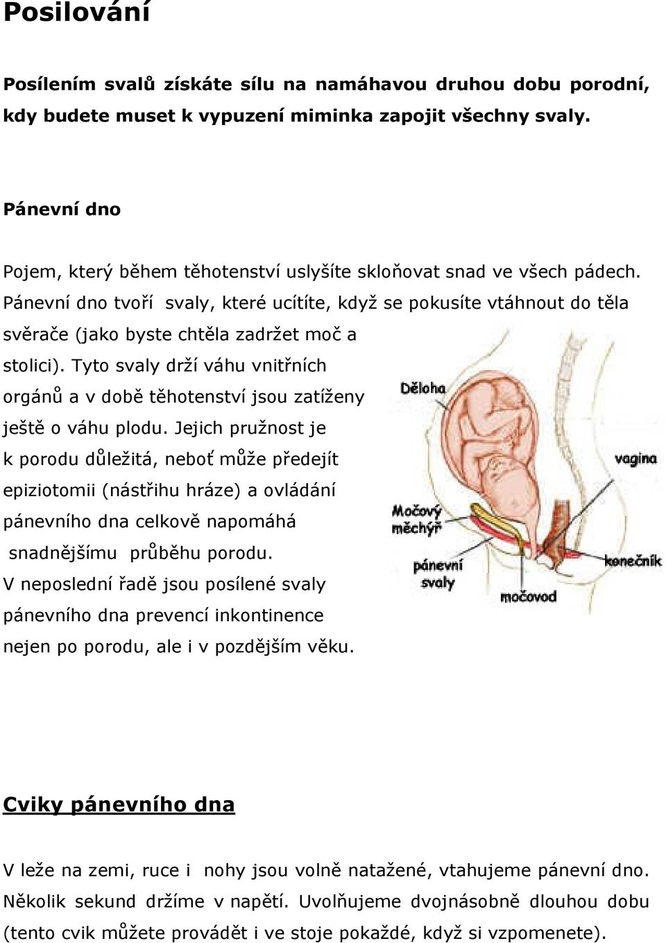 Pánevní dno tvoří svaly, které ucítíte, když se pokusíte vtáhnout do těla svěrače (jako byste chtěla zadržet moč a stolici).