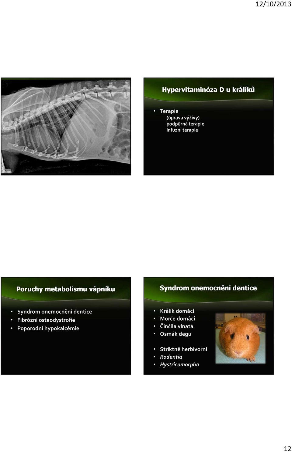 dentice Syndrom onemocnění dentice Fibrózní osteodystrofie Poporodní hypokalcémie