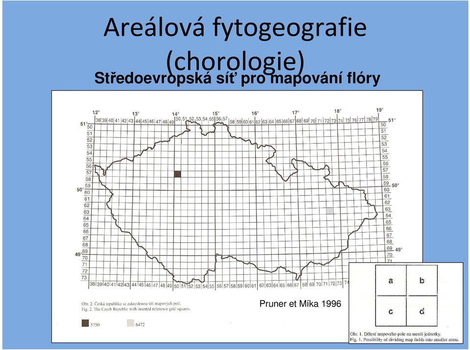 Středoevropská síť pro