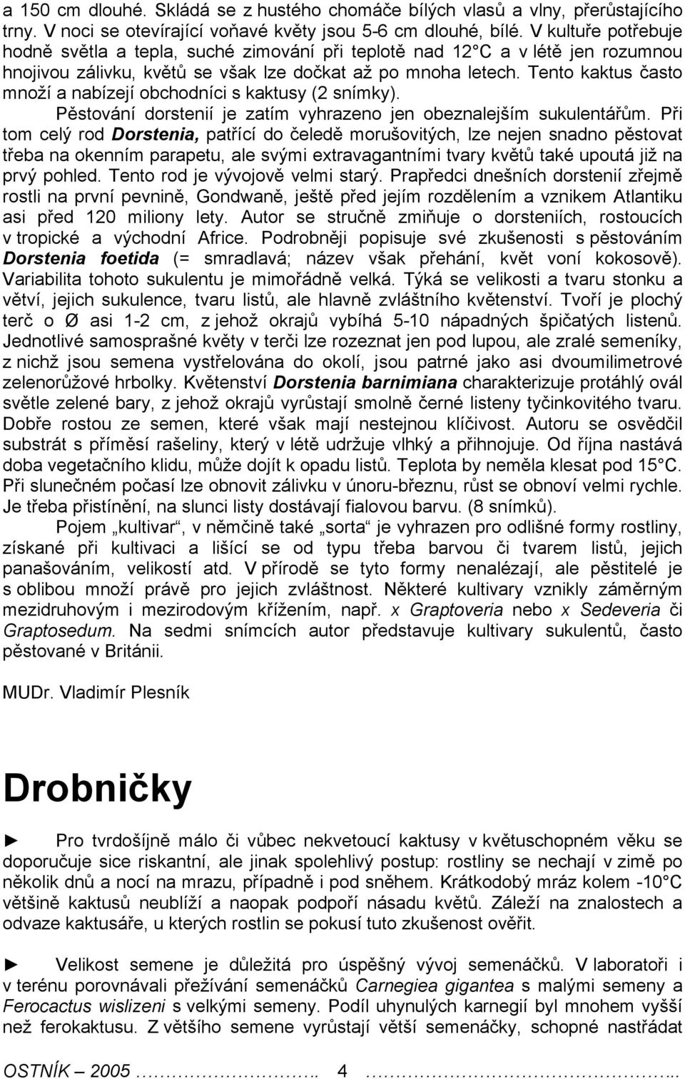 Tento kaktus často množí a nabízejí obchodníci s kaktusy (2 snímky). Pěstování dorstenií je zatím vyhrazeno jen obeznalejším sukulentářům.