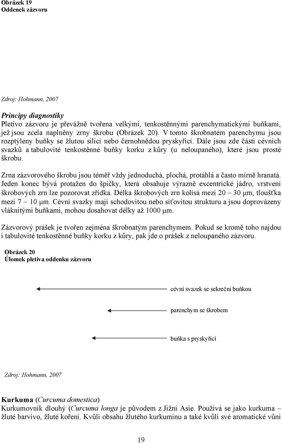 Dále jsou zde části cévních svazků a tabulovité tenkostěnné buňky korku z kůry (u neloupaného), které jsou prosté škrobu.