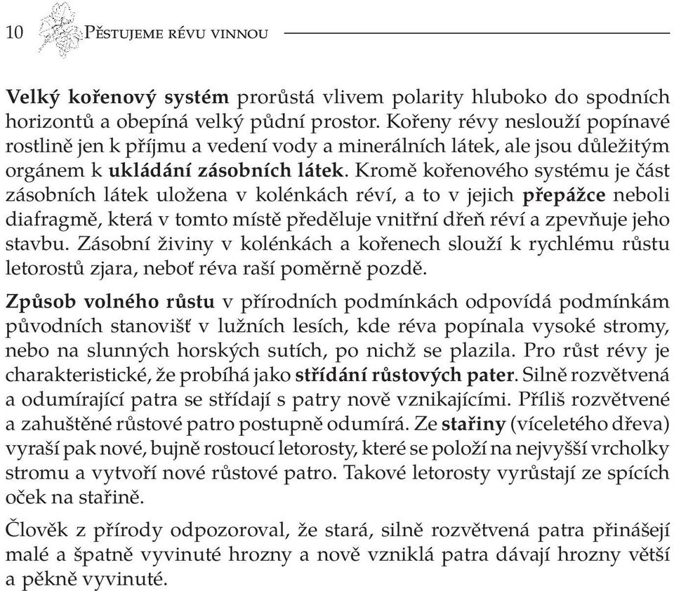 Kromě kořenového systému je část zásobních látek uložena v kolénkách réví, a to v jejich přepážce neboli diafragmě, která v tomto místě předěluje vnitřní dřeň réví a zpevňuje jeho stavbu.