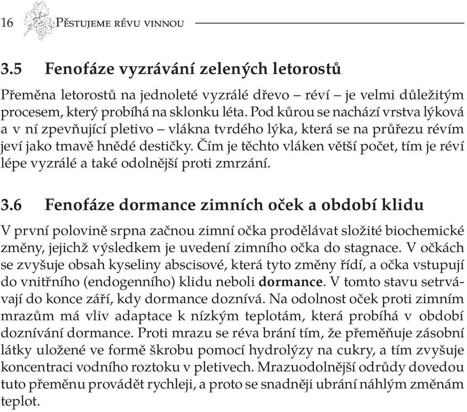 Čím je těchto vláken větší počet, tím je réví lépe vyzrálé a také odolnější proti zmrzání. 3.