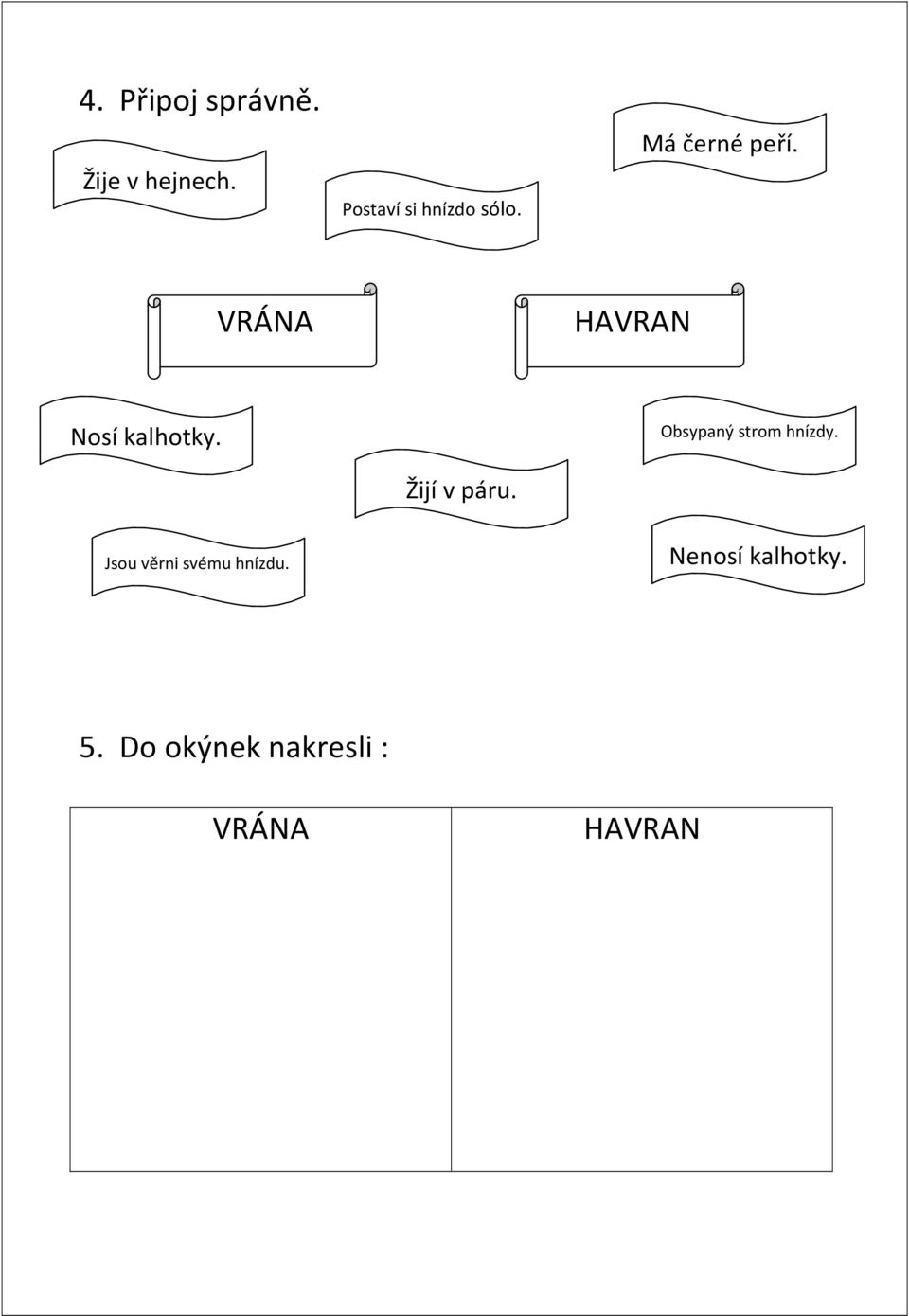 VRÁNA HAVRAN Nosí kalhotky. Žijí v páru.