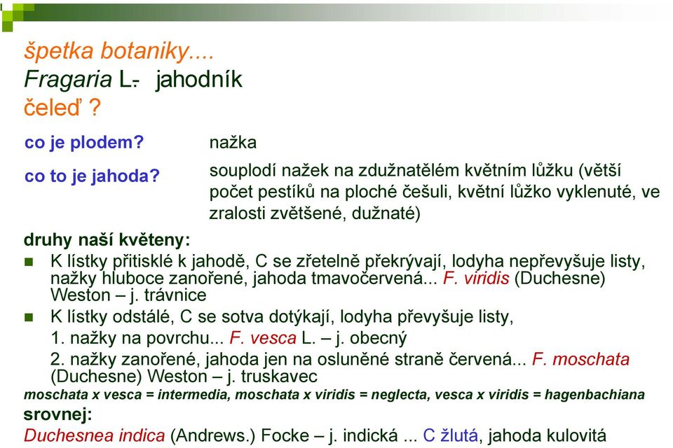 zřetelně překrývají, lodyha nepřevyšuje listy, nažky hluboce zanořené, jahoda tmavočervená... F. viridis (Duchesne) Weston j. trávnice K lístky odstálé, C se sotva dotýkají, lodyha převyšuje listy, 1.