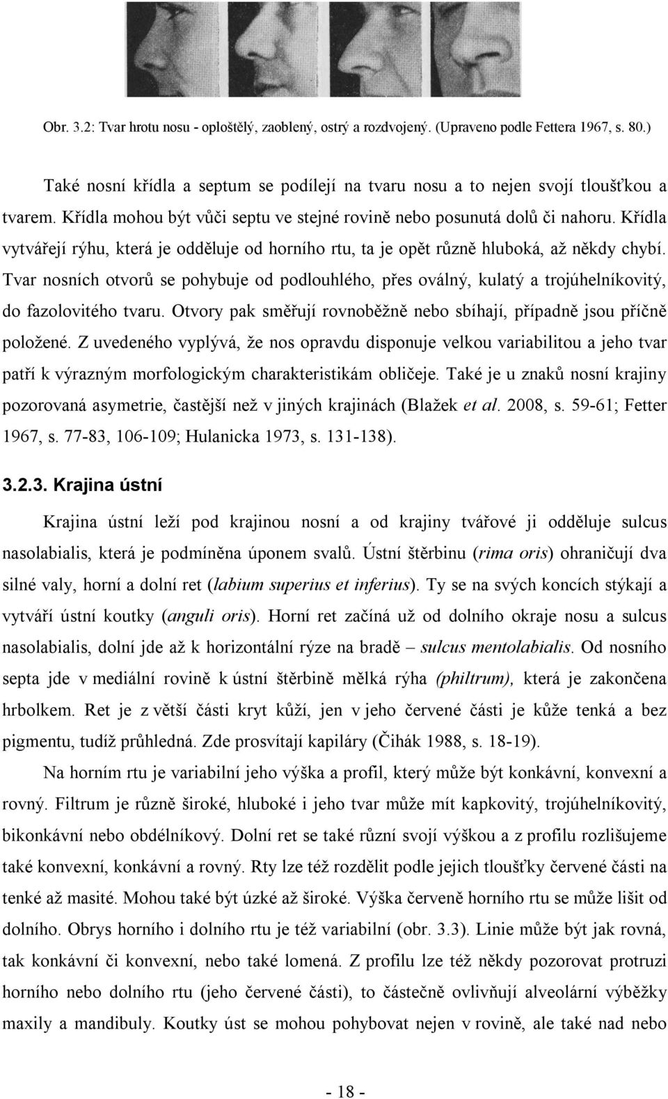 Tvar nosních otvorů se pohybuje od podlouhlého, přes oválný, kulatý a trojúhelníkovitý, do fazolovitého tvaru. Otvory pak směřují rovnoběžně nebo sbíhají, případně jsou příčně položené.