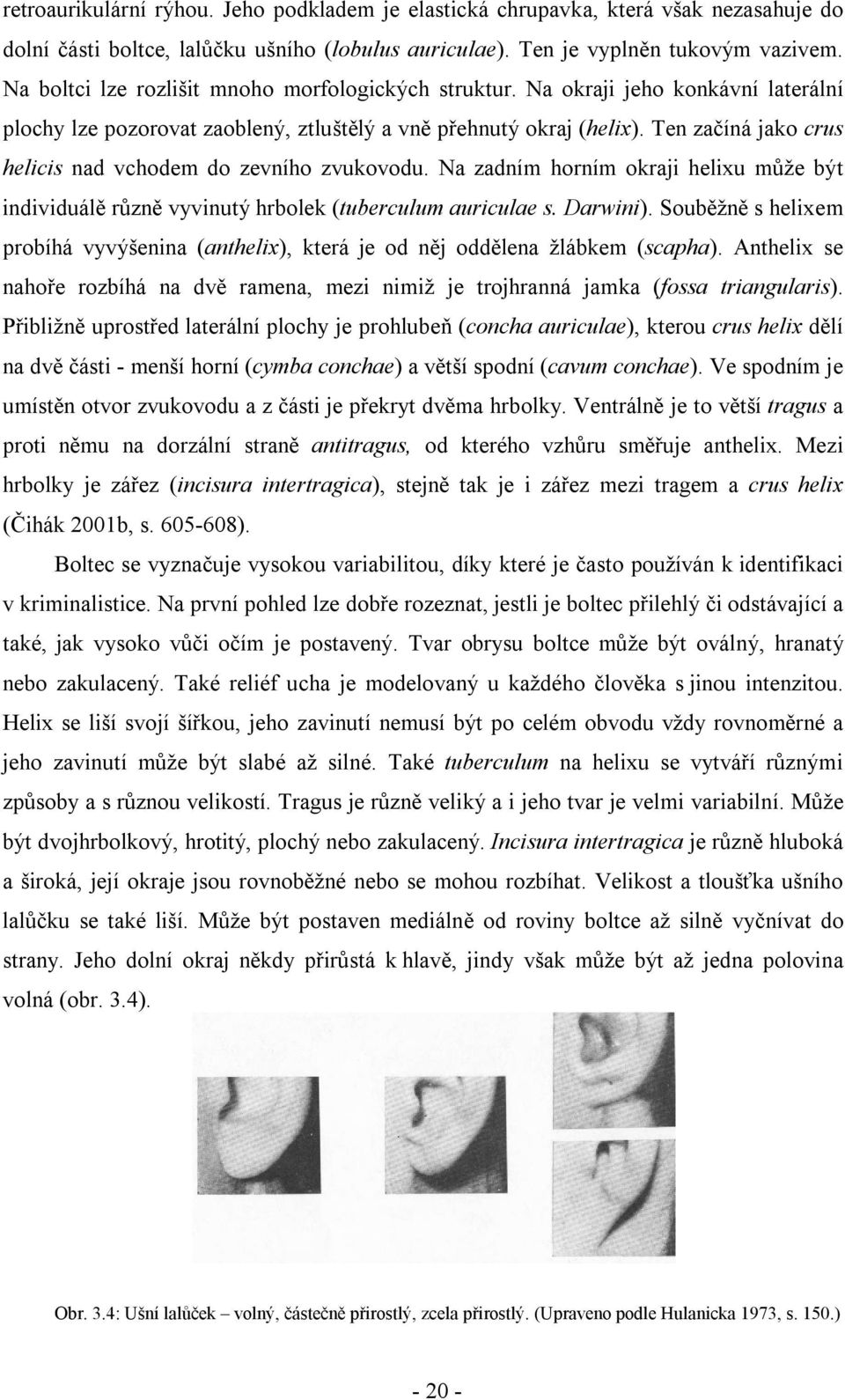 Ten začíná jako crus helicis nad vchodem do zevního zvukovodu. Na zadním horním okraji helixu může být individuálě různě vyvinutý hrbolek (tuberculum auriculae s. Darwini).