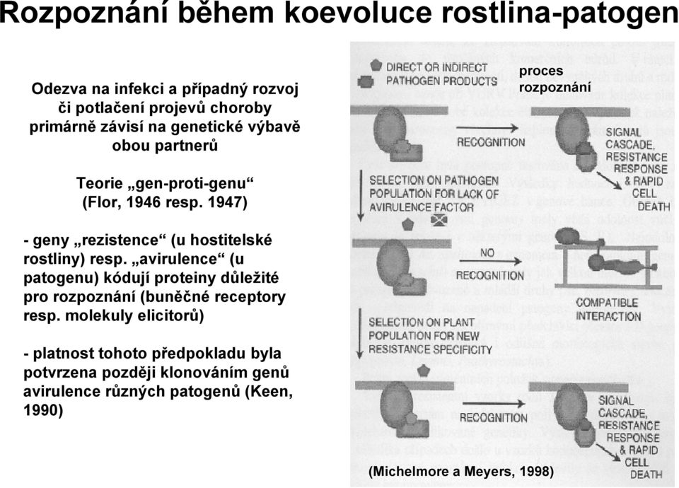 1947) -geny rezistence (u hostitelské rostliny) resp.