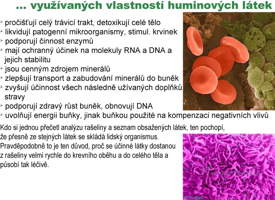 všech následně užívaných doplňků stravy podporují zdravý růst buněk, obnovují DNA uvolňují energii buňky, jinak buňkou použité na kompenzaci negativních vlivů Kdo si jednou přečetl analýzu