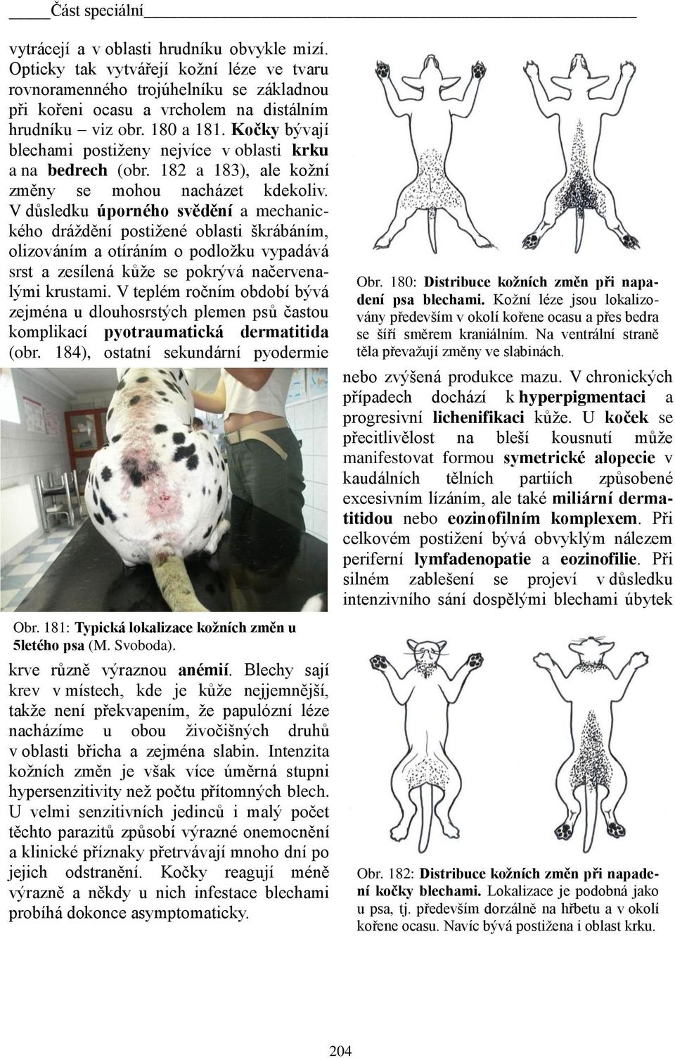 Kočky bývají blechami postiženy nejvíce v oblasti krku a na bedrech (obr. 182 a 183), ale kožní změny se mohou nacházet kdekoliv.