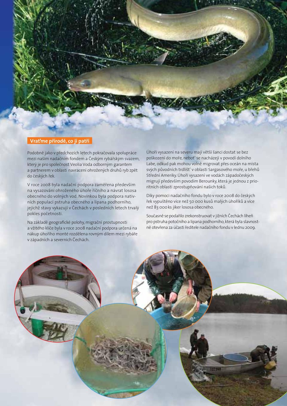 V roce 2008 byla nadační podpora zaměřena především na vysazování ohroženého úhoře říčního a návrat lososa obecného do volných vod.