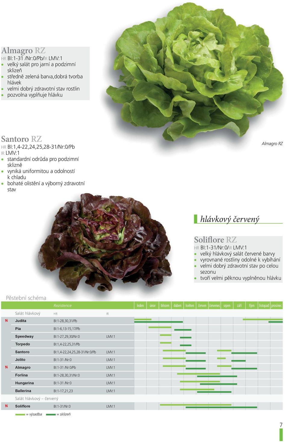 HR BI:1-31/Nr:0/IR LMV:1 velký hlávkový salát červené barvy vyrovnané rostliny odolné k vybíhání velmi dobrý zdravotní stav po celou sezonu tvoří velmi pěknou vyplněnou hlávku Pěstební schéma N