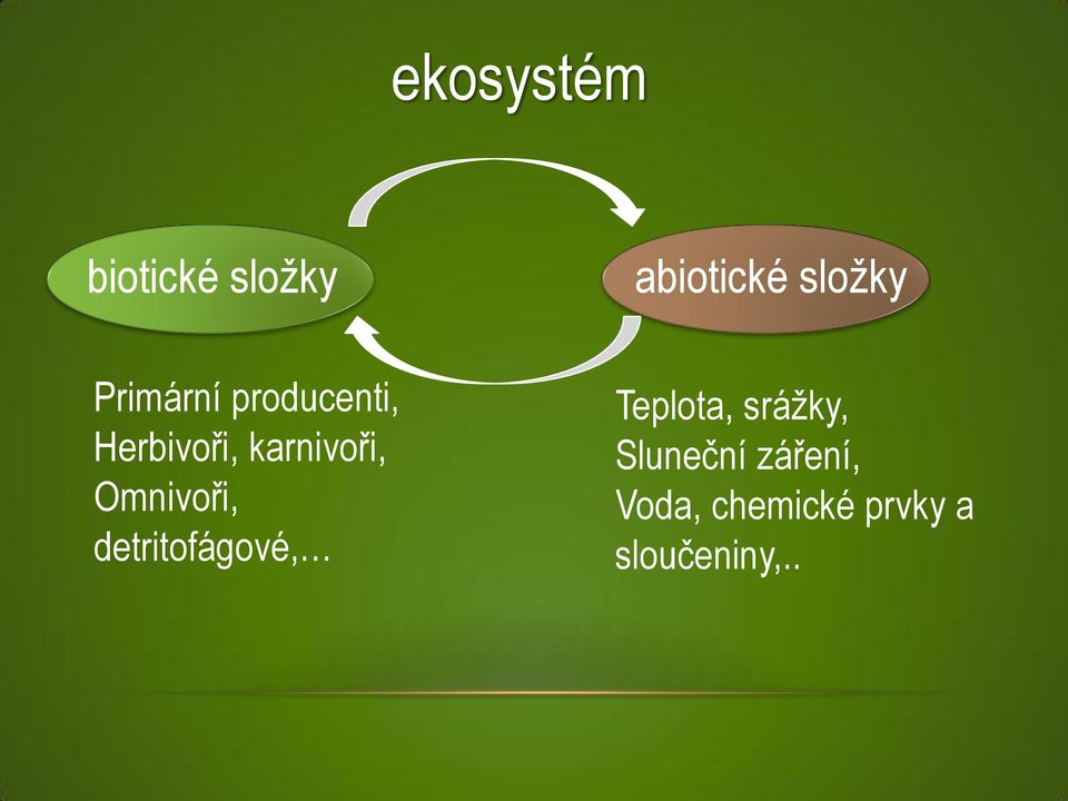 Omnivoři, detritofágové, Teplota, sráţky,