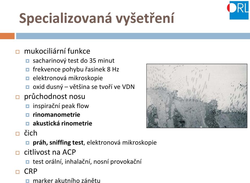 inspirační peak flow rinomanometrie akustická rinometrie čich práh, sniffing test,