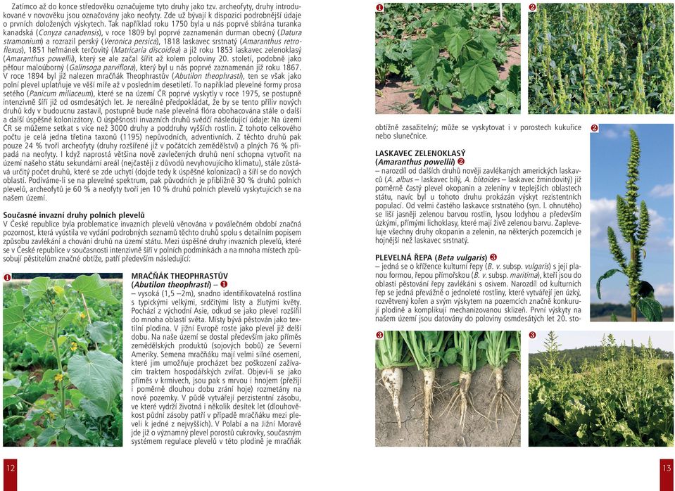 Tak například roku 1750 byla u nás poprvé sbírána turanka kanadská (Conyza canadensis), v roce 1809 byl poprvé zaznamenán durman obecný (Datura stramonium) a rozrazil perský (Veronica persica), 1818