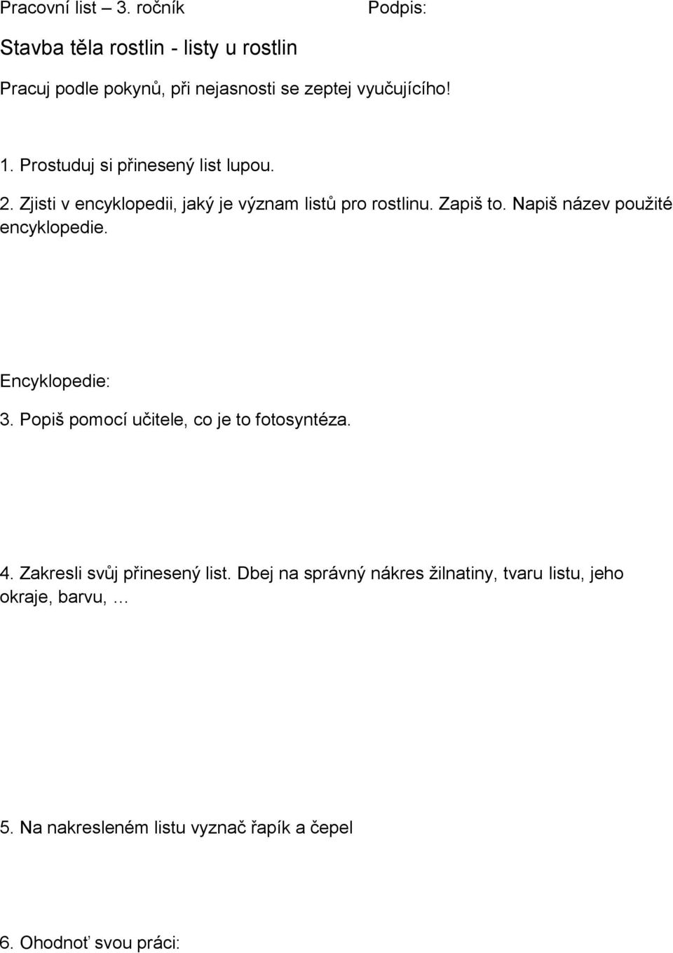 Prostuduj si přinesený list lupou. 2. Zjisti v encyklopedii, jaký je význam listů pro rostlinu. Zapiš to.