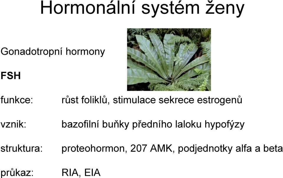 stimulace sekrece estrogenů bazofilní buňky předního