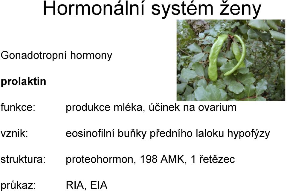 produkce mléka, účinek na ovarium eosinofilní buňky