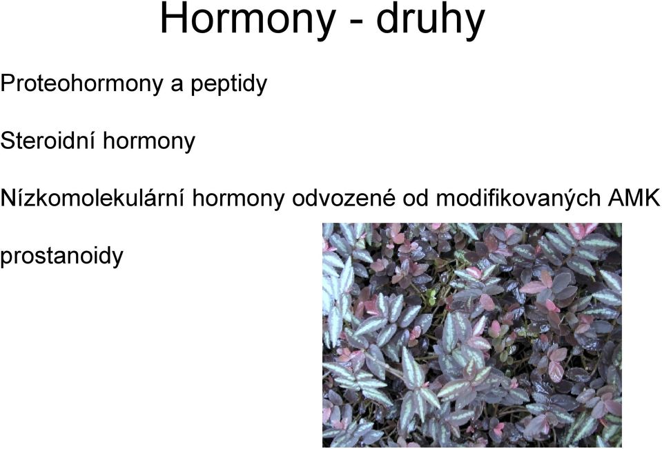 Nízkomolekulární hormony