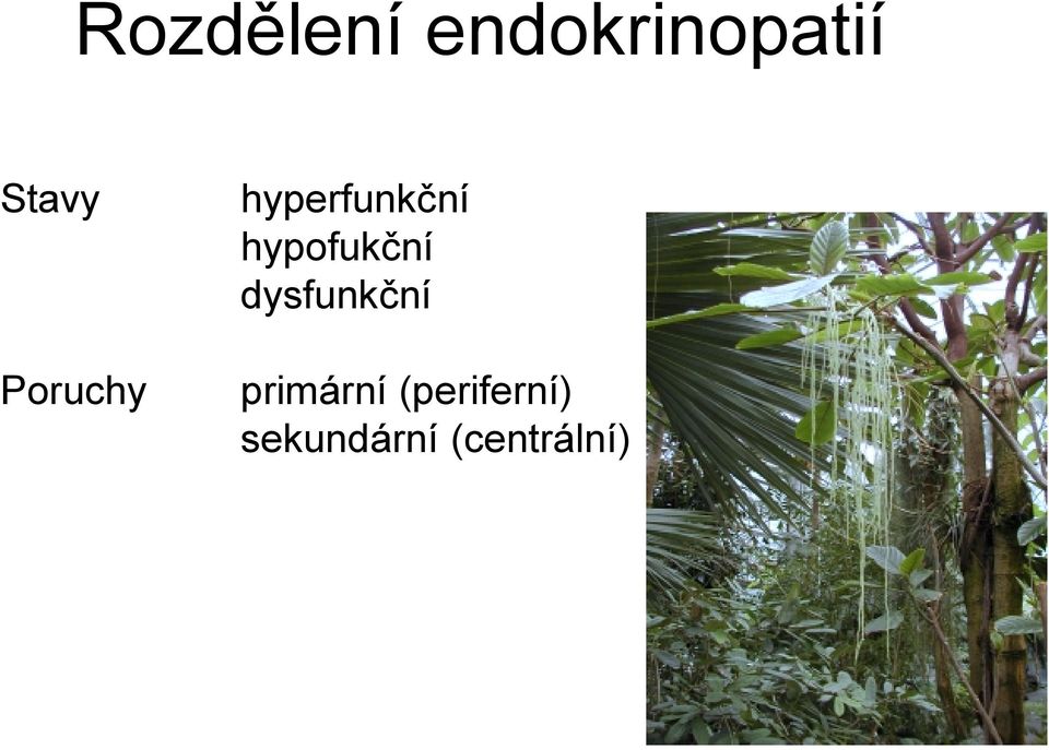 hypofukční dysfunkční