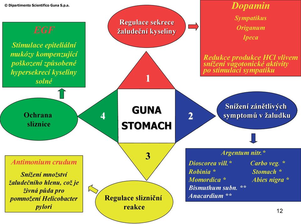 GUNA STOMACH 2 Snížení zánětlivých symptomů v žaludku Antimonium crudum Snížení množství žaludečního hlenu, což je živná půda pro pomnožení Helicobacter