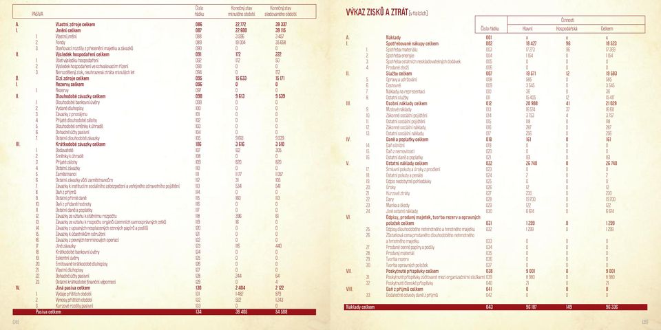 Nerozdělený zisk, neuhrazená ztráta minulých let 094 0 172 B. cizí zdroje celkem 095 15 633 15 171 I. Rezervy celkem 096 0 0 1. Rezervy 097 0 0 II. Dlouhodobé závazky celkem 098 9 613 9 539 1.