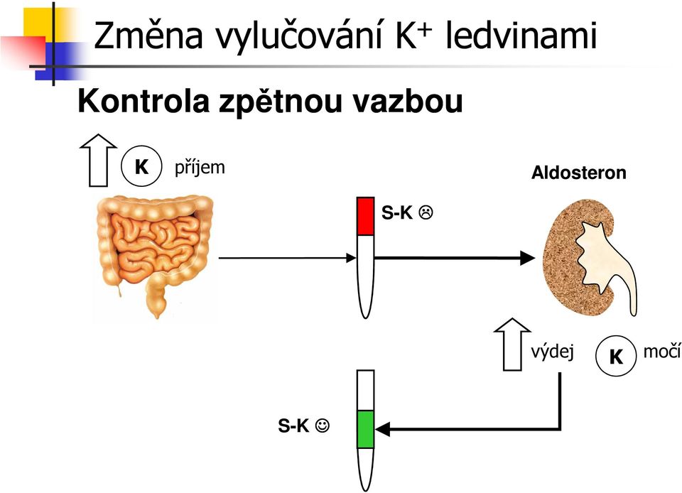 zpětnou vazbou příjem